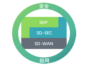 360天境安全SD-WAN