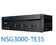 网神NSG3000-TE35P-Q奇安信新一代智慧防火墙